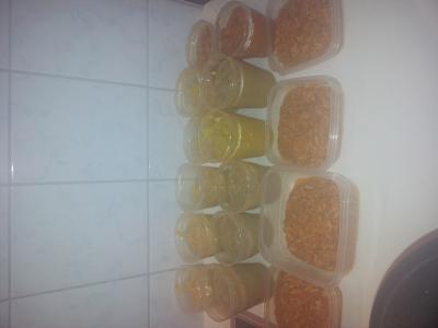 Bild zu na was macht ihr so? - Forum für Februar - Mamis