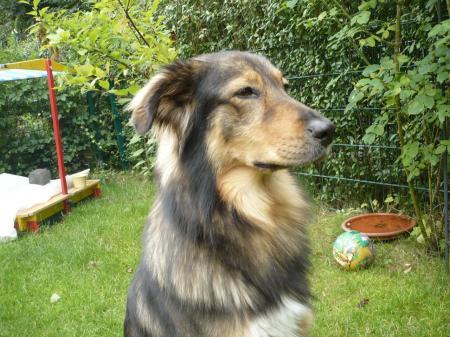 Bild zu 