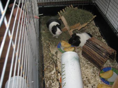 Bild zu 