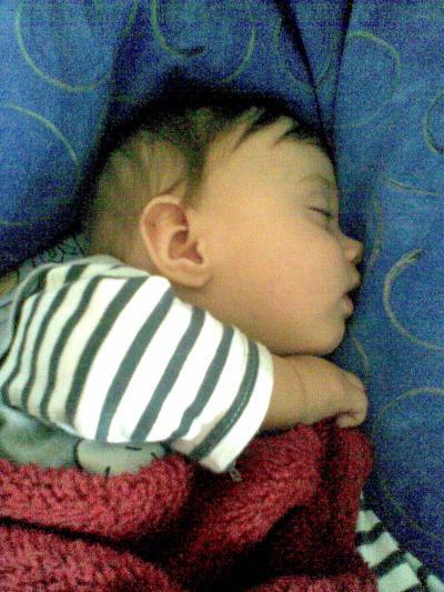 Bild zu Rüpel Richard..... - Forum für Februar - Mamis