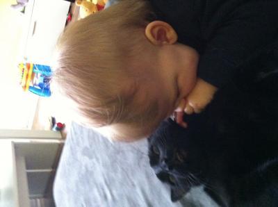 Bild zu Mein kleiner Alf - Forum für Februar - Mamis