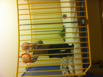 Bild zu Sind im Krankenhaus - Forum für Februar - Mamis