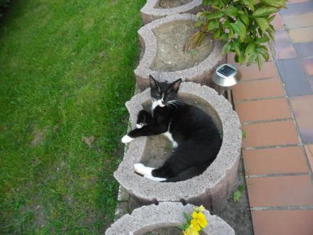 Bild zu