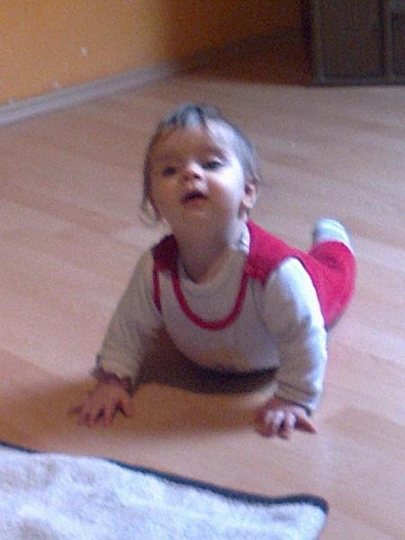 Bild zu 