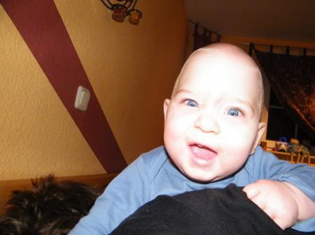 Bild zu 