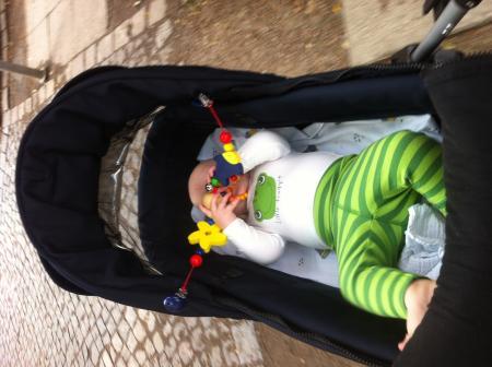 Bild zu 
