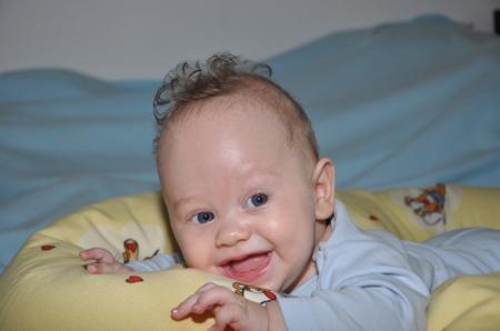 Bild zu