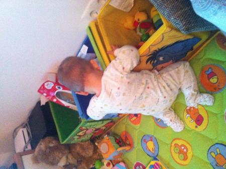 Bild zu 