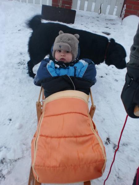 Bild zu