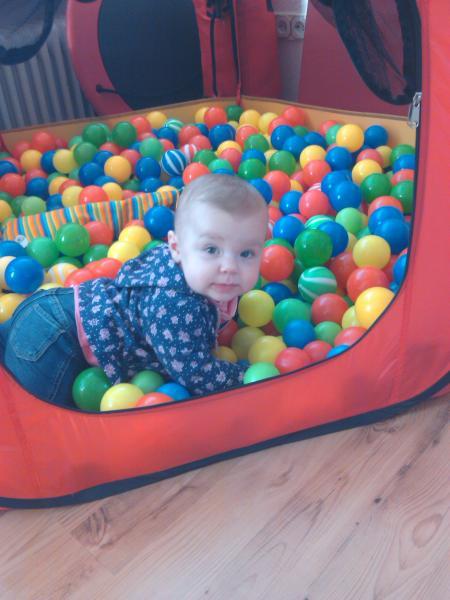 Bild zu