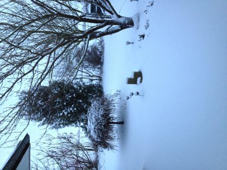 Bild zu 