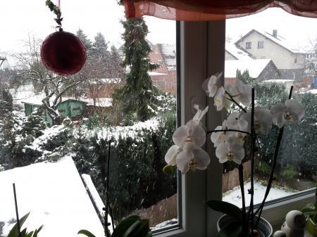 Bild zu 