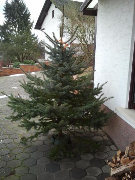 Bild zu