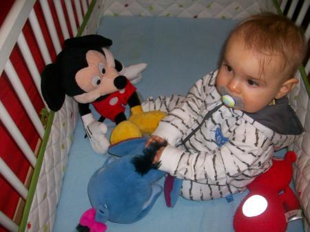 Bild zu 