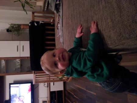 Bild zu 