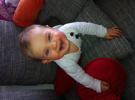 Bild zu 