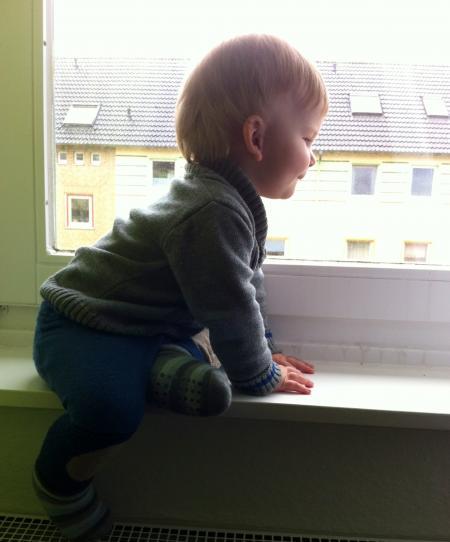 Bild zu 