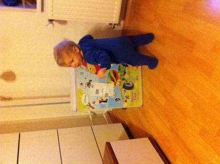 Bild zu