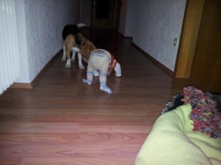 Bild zu 