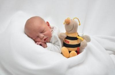 Bild zu Neuigkeiten von Felix - Forum für Februar - Mamis