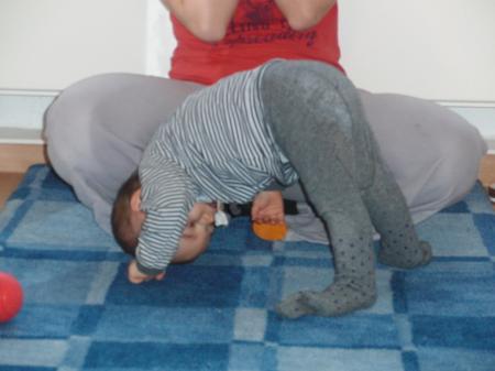 Bild zu