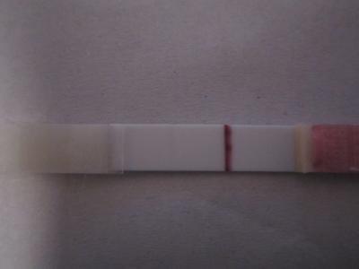 Bild zu Bitte eure Meinung ist gefragt + Foto - Forum für Februar - Mamis