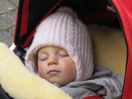 Bild zu