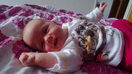 Bild zu 