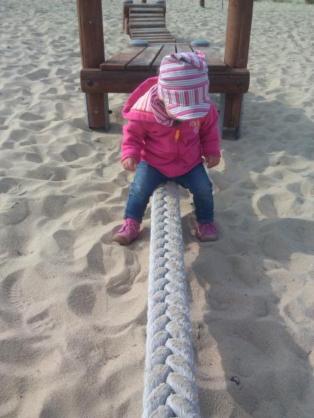 Bild zu 