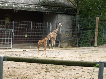 Bild zu 