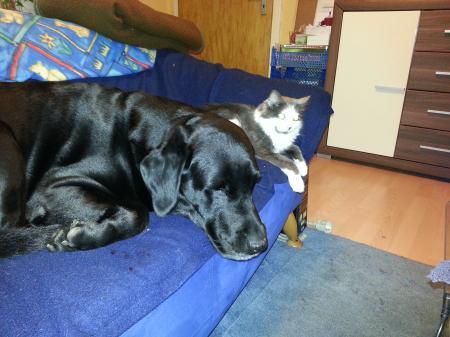 Bild zu 
