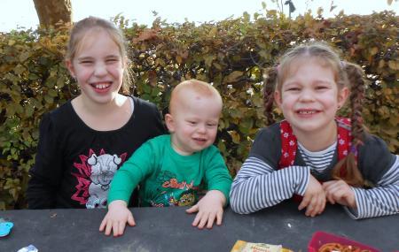 Bild zu