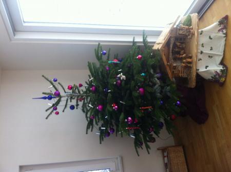 Bild zu 