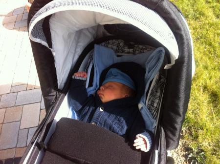 Bild zu 