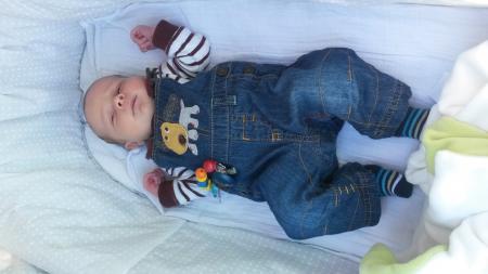 Bild zu 