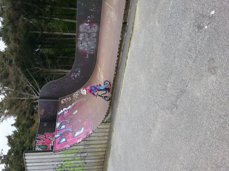 Bild zu