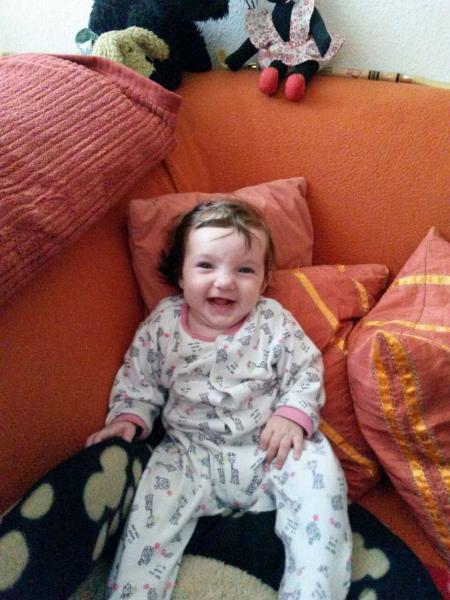 Bild zu