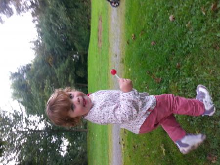 Bild zu