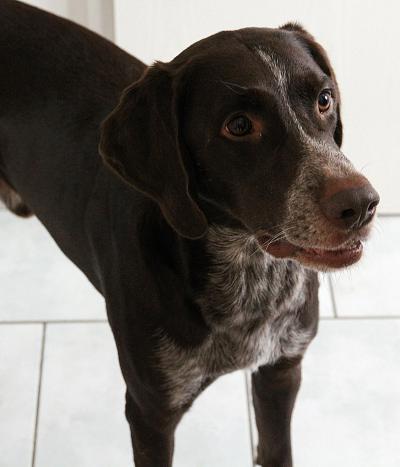 Bild zu Hund und Kind! - Forum für Februar - Mamis