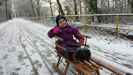 Bild zu