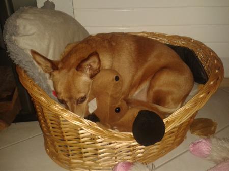 Bild zu