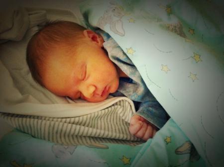 Bild zu