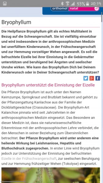 Bild zu an die Hämatom geplagten - Forum für Februar - Mamis