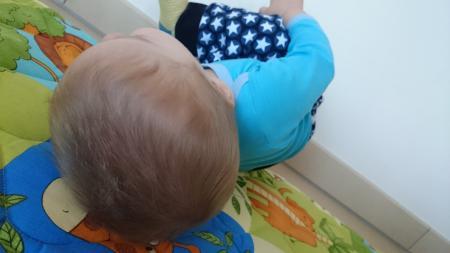 Bild zu