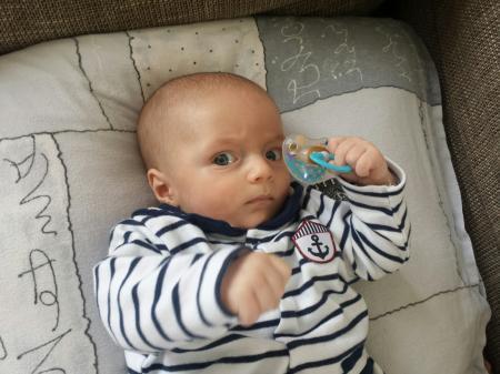 Bild zu 