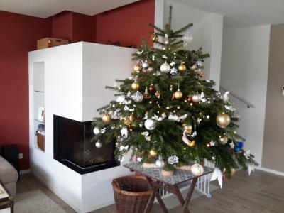 Bild zu Frohe Weihnachten! - Forum für Februar - Mamis