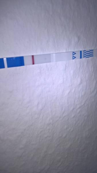 Bild zu test mit punkt - Forum für Februar - Mamis