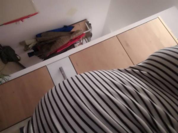 Bild zu Countdown und Bauchbilder - Forum für Februar - Mamis