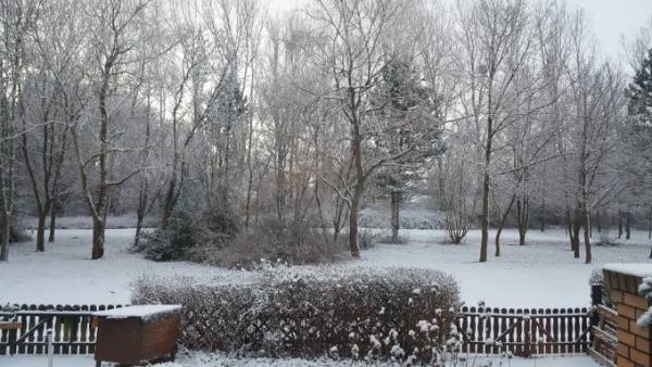 Bild zu 