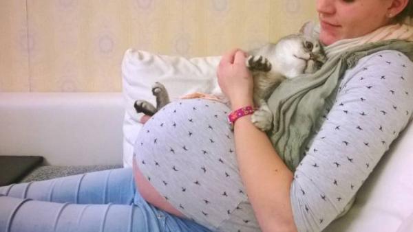 Bild zu 